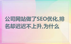 公司网站做了SEO优化,排名却迟迟不上升,为什么