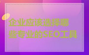 企业应该选择哪些专业的SEO工具