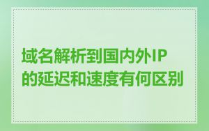 域名解析到国内外IP的延迟和速度有何区别