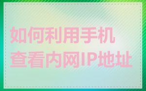 如何利用手机查看内网IP地址