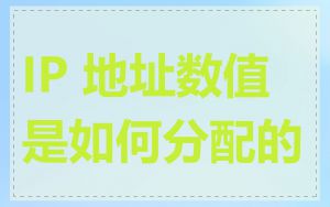 IP 地址数值是如何分配的