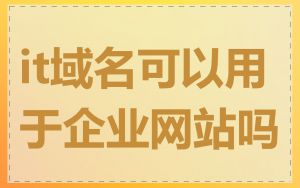 it域名可以用于企业网站吗