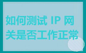 如何测试 IP 网关是否工作正常
