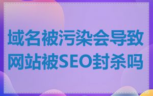域名被污染会导致网站被SEO封杀吗
