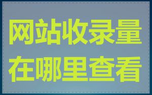 网站收录量在哪里查看