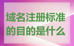 域名注册标准的目的是什么