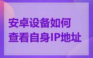 安卓设备如何查看自身IP地址