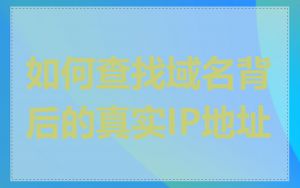如何查找域名背后的真实IP地址