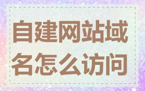 自建网站域名怎么访问
