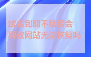 域名到期不续费会导致网站无法恢复吗