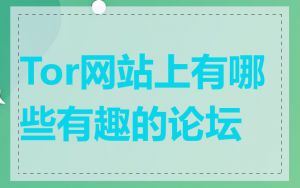 Tor网站上有哪些有趣的论坛
