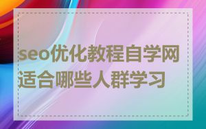 seo优化教程自学网适合哪些人群学习