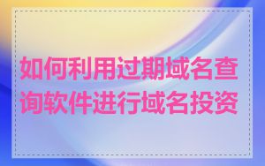 如何利用过期域名查询软件进行域名投资