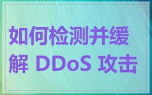 如何检测并缓解 DDoS 攻击