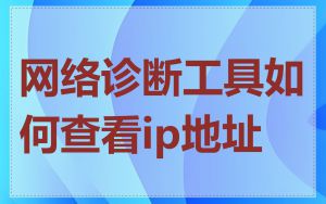 网络诊断工具如何查看ip地址