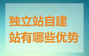 独立站自建站有哪些优势