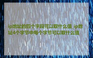 ip地址的四个字段可以取什么值_ip地址4个字节中每个字节可以取什么值