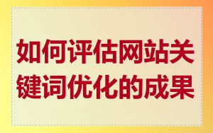 如何评估网站关键词优化的成果