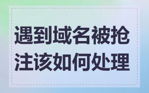 遇到域名被抢注该如何处理