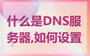 什么是DNS服务器,如何设置