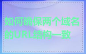 如何确保两个域名的URL结构一致