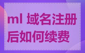 ml 域名注册后如何续费