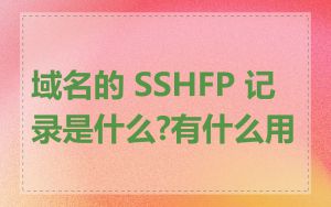 域名的 SSHFP 记录是什么?有什么用