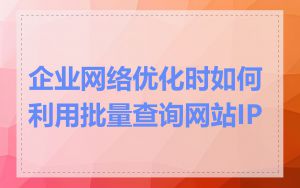 企业网络优化时如何利用批量查询网站IP