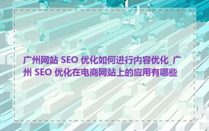 广州网站 SEO 优化如何进行内容优化_广州 SEO 优化在电商网站上的应用有哪些