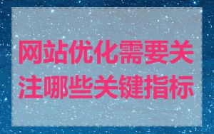 网站优化需要关注哪些关键指标