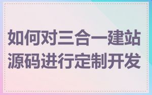 如何对三合一建站源码进行定制开发