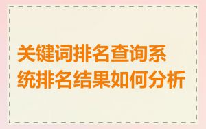 关键词排名查询系统排名结果如何分析