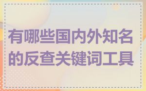 有哪些国内外知名的反查关键词工具