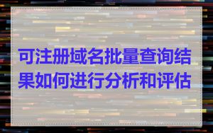 可注册域名批量查询结果如何进行分析和评估