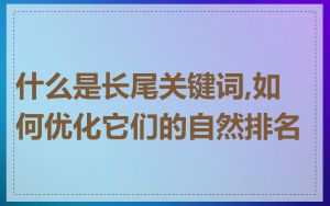 什么是长尾关键词,如何优化它们的自然排名