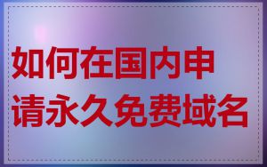 如何在国内申请永久免费域名