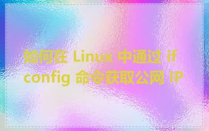如何在 Linux 中通过 ifconfig 命令获取公网 IP