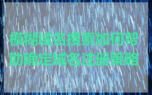 模糊域名搜索如何帮助确定域名注册策略