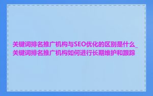 关键词排名推广机构与SEO优化的区别是什么_关键词排名推广机构如何进行长期维护和跟踪