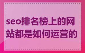 seo排名榜上的网站都是如何运营的