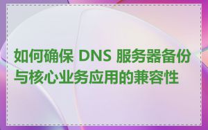 如何确保 DNS 服务器备份与核心业务应用的兼容性