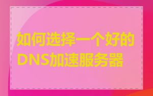 如何选择一个好的DNS加速服务器