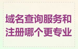域名查询服务和注册哪个更专业