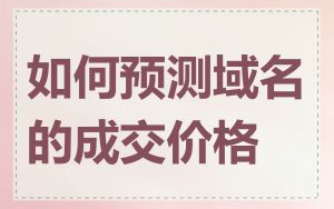 如何预测域名的成交价格