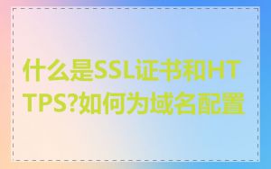 什么是SSL证书和HTTPS?如何为域名配置