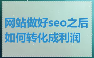 网站做好seo之后如何转化成利润