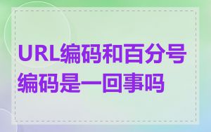 URL编码和百分号编码是一回事吗