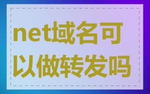 net域名可以做转发吗