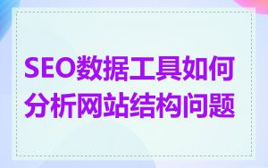 SEO数据工具如何分析网站结构问题