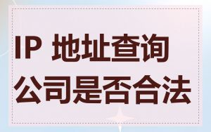 IP 地址查询公司是否合法